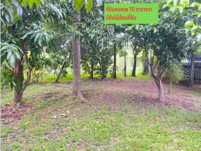 ขายที่ดินถมแล้ว 70วา ดอนเมือง ซ.วัดเวฬุวนาราม 9 แยก14 กรุงเทพ