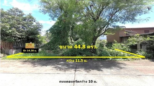 ขายด่วนที่ดิน 44.8 ตรว. คลอง 8 ธัญบุรี-ปทุมธานี ซอยโรงเรียนตวงพรวิทยา