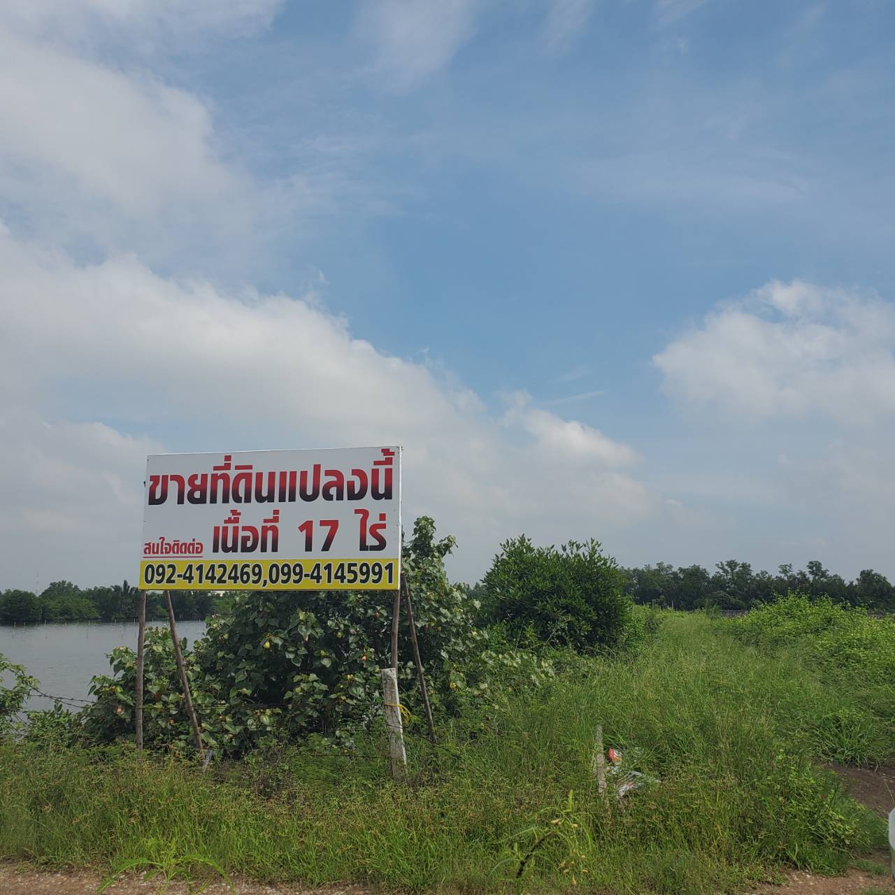 ขายที่ดิน 17 ไร่ เจ้าของขายเอง ตำบลแหลมใหญ่ อำเภอเมืองสมุทรสงคราม จังหวัดสมุทรสงคราม