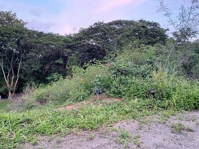 ที่ดินใกล้เขาใหญ่ สระบุรี