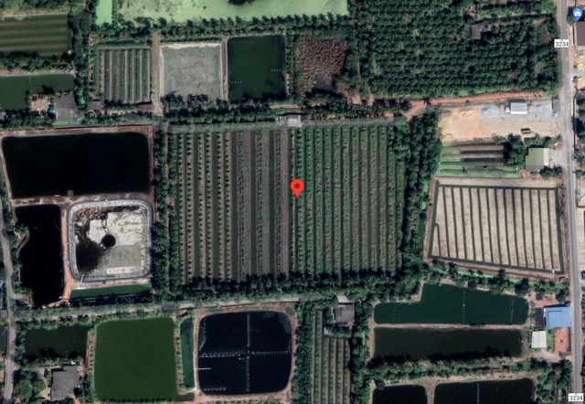 ขายที่ดิน เนื้อที่ 20-1-70 ตารางวา เป็นสวนฝรั่ง อ. สามพราน จ. นครปฐม