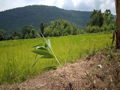 มูลค่าทวีเพิ่มพูนทรัพย์ในดิน  ที่สวยติดเขา เทือกเขายา ขอนแก่น