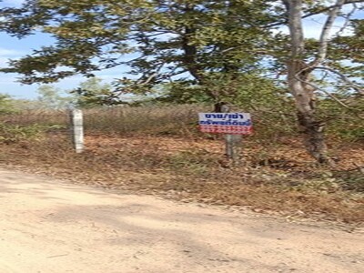 มูลค่าทวีเพิ่มพูนทรัพย์ในดิน  ขายที่แปลงสวยติดติดทางหลวง1107 จ.ตา