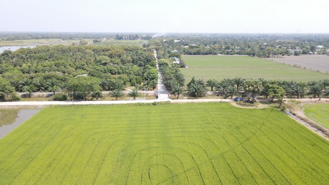 LVPP4157 ขายที่ดินแปลงใหญ่ สวยมาก คลอง 8 ฝั่งตะวันออก บึงชำอ้อ หนองเสือ ปทุมธานี