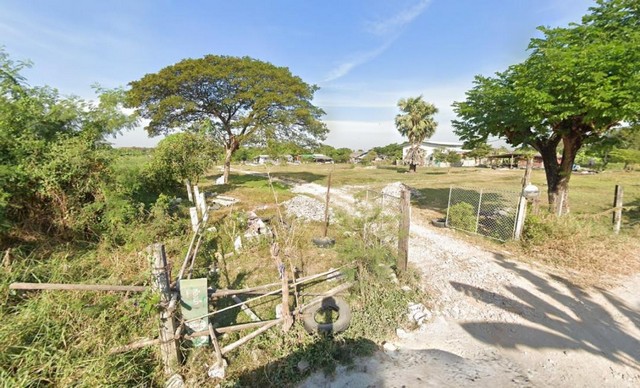 KM101 Land For Rent ที่ดิน 3 ไร่ พื้นที่สีเหลือง ซอยกรุงเทพกรีฑา31 แยก4-1
