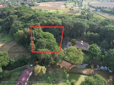 ขายที่ดินสวย 344 ตรว. ดอยสะเก็ด บรรยากาศร่มรื่น