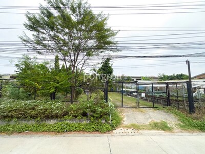 ที่ดิน 198 ตรว. ถมแล้วแปลงสวย รามอินทรา–สุขาภิบาล 5  