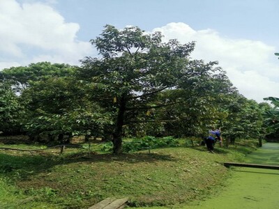 ขายบ้านเดี่ยว บ้านเดี่ยว หัวหิน
