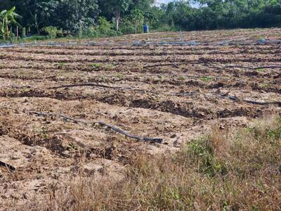 ขายที่ดิน 19-1-67 ไร่ ใกล้ถนนนาขุนแสน ซอย6 อ.สวนผึ้ง จ.ราชบุรี