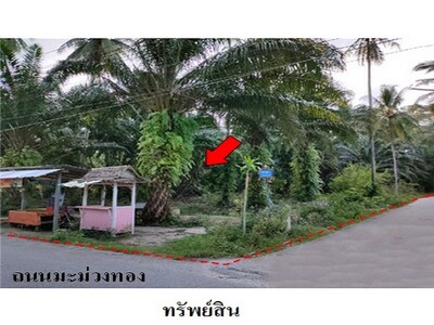 ขายที่ดินว่างเปล่า ถนน มะม่วงทอง ต.ปากพูน อ.เมือง จ.นครศรีธรรมราช