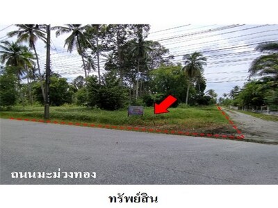 ขายที่ดินว่างเปล่า ถนน มะม่วงทอง ต.ปากพูน อ.เมือง จ.นครศรีธรรมราช