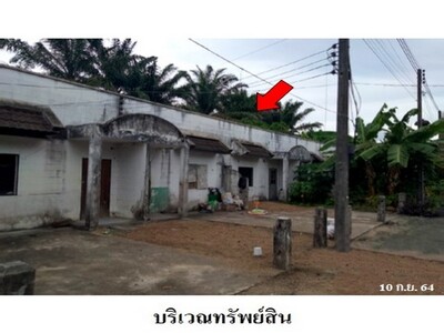 ขายที่ดินโครงการ ไม้หลาการ์เด้นท์ หินตก ร่อนพิบูลย์ จ.นครศรีธรรมร