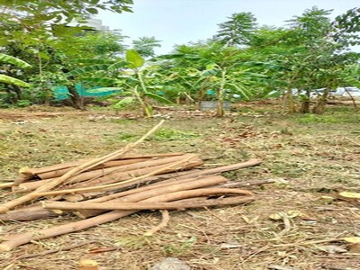 ขายที่ดิน 2 แปลง 121 ตร.ว สุขุมวิท 101/1 ในซอยวชิรธรรมสาธิต51