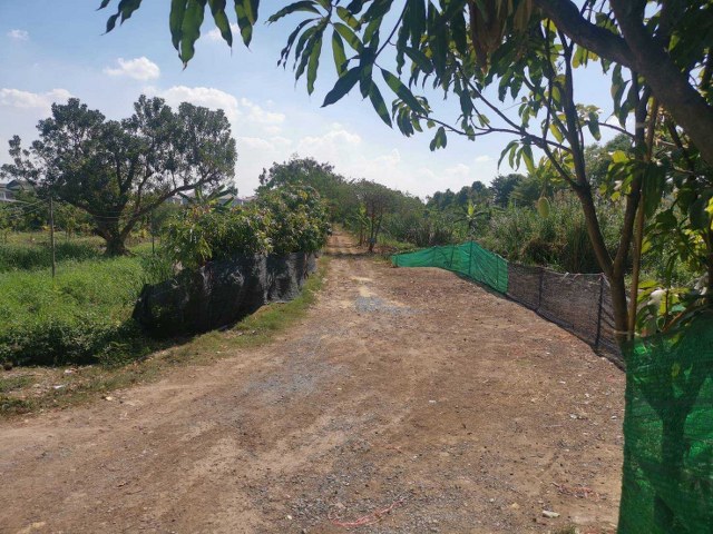 ขายที่ดินซอยวัดลาดปลาดุก เนื้อที่ 100 ตร.ว. ใกล้ รถไฟฟ้า MRT สายสีม่วงสถานีคลองบางไผ่ และใกล้แหล่งสาธารณูปโภค  อ.บางบัวทอง จ.นนทบุรี 