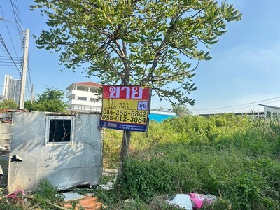 ขายที่ดิน 116 ตารางวา  ซอยลาซาล 54  บางนา 