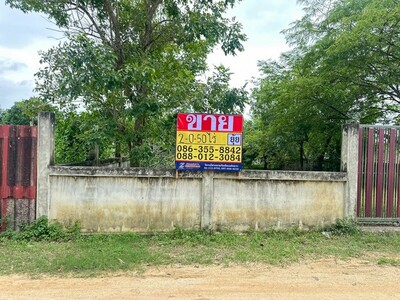 ขายที่ดิน 2-0-50 ไร่  ซอยทุ่งกลม-ตาลหมัน ห้วยใหญ่ ชลบุรี