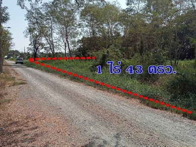 ขายที่ดิน 1 ไร่ 43 ตรว. คลองสิบสอง หนองจอก  เหมาะทำบ้านสวน ฟาร์มเ