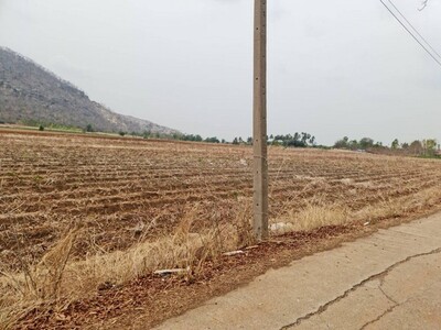 เดือนแห่งความรักหาทรัพย์สวยสักแปลง ขาย/เช่า ที่ติดภูเขาเมืองนครสว