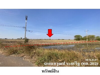 ขายที่ดินว่างเปล่า ต.ขี้เหล็ก อำเภอ ปทุมรัตต์ จังหวัด ร้อยเอ็ด