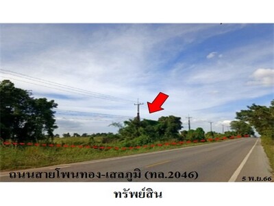 ขายที่ดินว่างเปล่า ต.สระนกแก้ว อ.โพนทอง จ.ร้อยเอ็ด