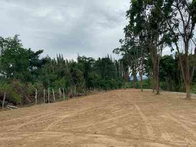 ขายที่ดินเปล่า ทำเลศักยภาพสูง ติดคลองแม่ประจันต์ อำเภอท่ายาง เพชร