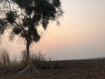 เดือนความรักหาทรัพย์สวย ที่บนเนินเขา สูงจากน้ำทะเล หล่มเก่า เพชรบ