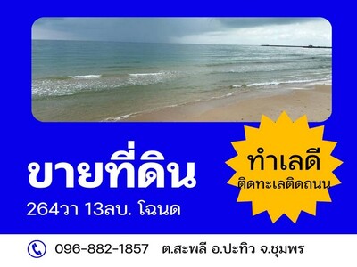 เดือนความรักหาทรัพย์  ขายที่สวยติดทะเล ที่ติดชายหาดสะพลี ชุมพร 5.