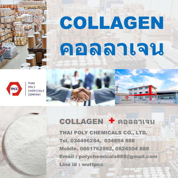 คอลลาเจน, คอลลาเจนเปปไทด์, ไฮโดรไลซ์คอลลาเจน, คอลลาเจนผง, Collagen, Collagen Powder