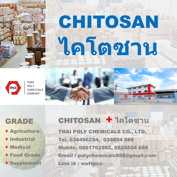 ไคโตซาน, Chitosan, ไคโตซานผง, Chitosan Powder, ผลิตไคโตซาน, จำหน่ายไคโตซาน