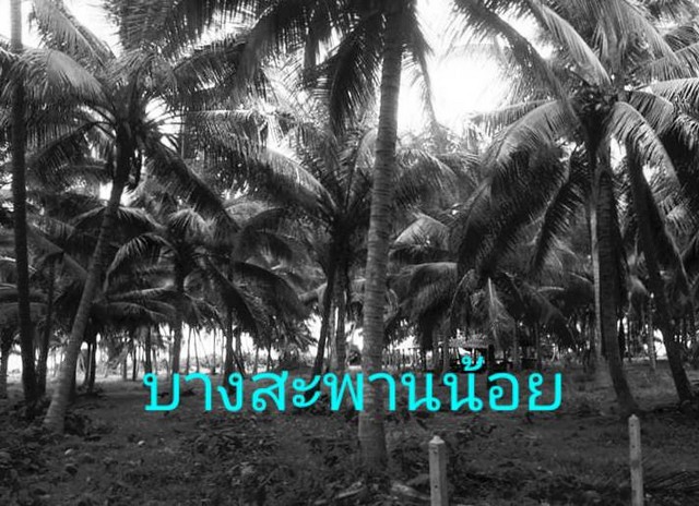 ทรัพย์ดีราคาคุยกันได้แถมวางดาวน์ผ่อนต่อได้   ขายใกล้ทะเลขายถูกเหลือไม่กี่แปลง   หาดผาฝั่งแดง UNSEEN THAILAND 