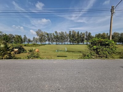 ขาย ที่ดินเปล่า ระโนด