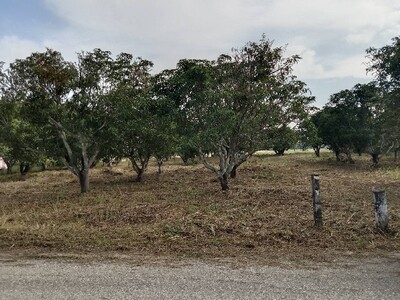 ขายที่ดินเปล่า ราคาถูก เนื้อที่ 2 ไร่ 5 ตารางวา