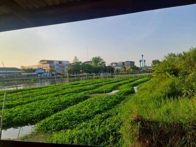 ขายที่ดินเปล่า ตืดแม่น้ำท่าจีน ตรงสุดหมู่บ้านกฤษดานคร 27 มารีน่า 