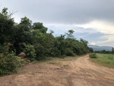 แปลงนี้ซื้อผ่อนเจ้าของได้ ที่สวยติดเขา เทือกเขายา ขอนแก่น