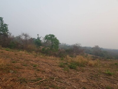 แปลงซื้อผ่อนเจ้าของได้ ที่บนเนินเขา สูงจากน้ำทะเล หล่มเก่า เพชรบู