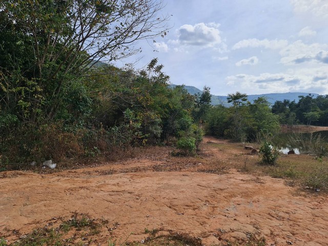 เมษานี้ทีมการตลาดขอเสนอทรัพย์ขายลูกค้า   ขาย ติดเทือกเขายาวเรียงแนว ดินดีสมบูรณ์ทรัพย์ในดิน  ตำบลนาจาน อำเภอสีชมพู ฟ้าใสอากาศดีขอนแก่น 