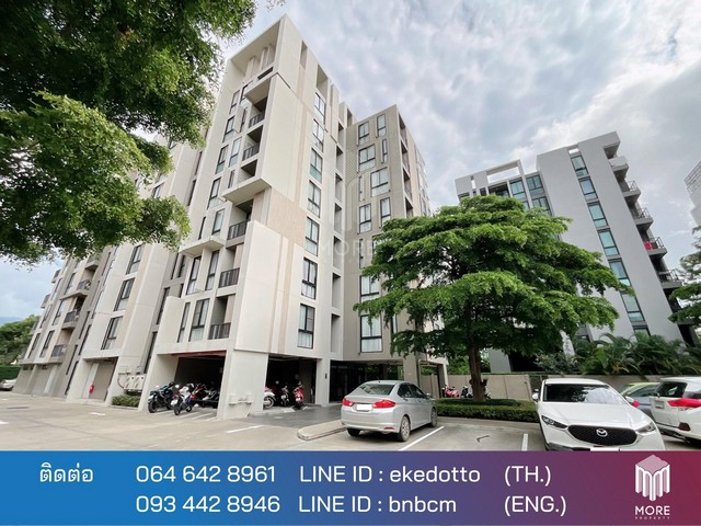 MORE-037CR ให้เช่าคอนโดเชียงใหม่  1 ห้องนอน 1 ห้องน้ำ  35 ตรม. ปาล์มสปริงส์ นิมมาน พาร์เลอร์