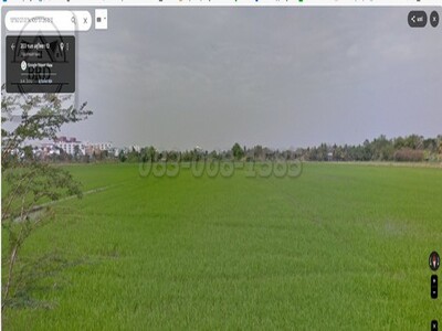 ขายที่ดินถนนอยู่วิทยา ผังสีเหลือง เนื้อที่ 100 ไร่ 