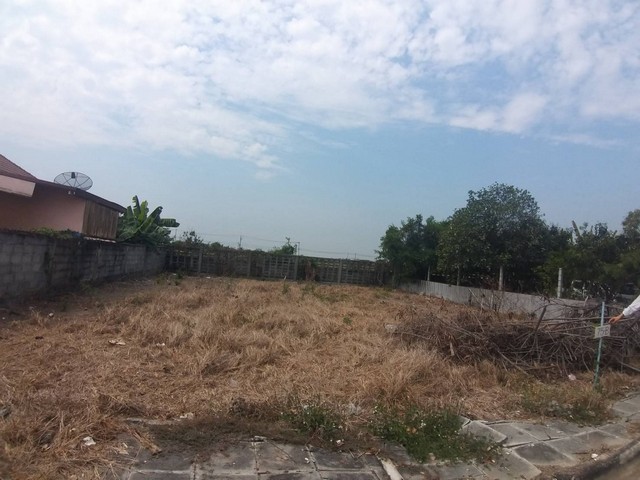 ขายที่ดินเปล่าเหลือไม่ถึง 10 แปลง (80-100 ตรว.) ตรว.ละ 19,000 บาท อ.ลำลูกกา จ. ปทุมธานี ผ่อนธนาคาร ดอกเบี้ยต่ำ แถมทองคำ 1.00 บาท