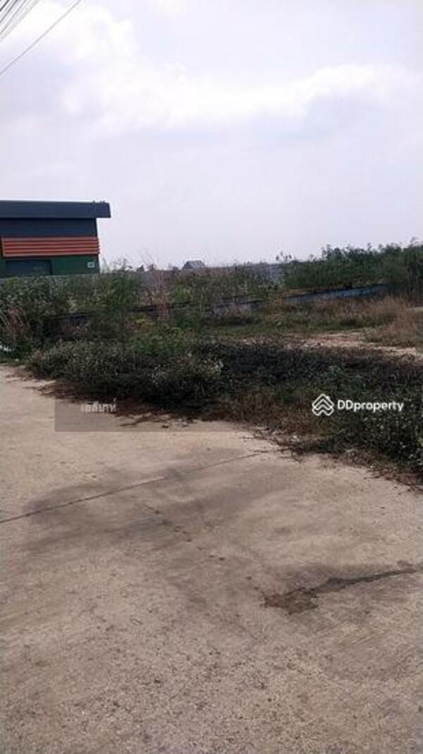 ที่ดินถมแล้ว พื้นที่ 600 ตารางวา ราคาถูกบางบัวทอง-นนทบุรี ใกล้ถนนหลัก