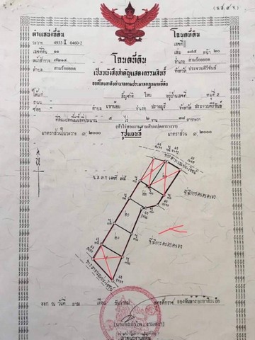 ที่ดินเปล่าเหลืออีก  3 แปลง ๆละ 1ไร่ อ. สามร้อยยอด จ.ประจวบคีรีขันธ์