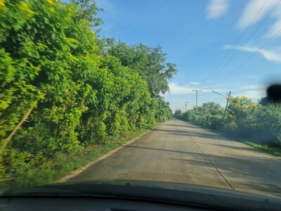 ตุนทรัพย์เก็บขายเก็งกำไร  ที่สวยติดถนนคอนกรีต ต.อ.มหาราช อยุธยา 
