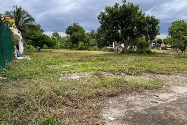 ที่ดิน ฟ้าฮ่าม เมืองเชียงใหม่  ขาย  7.5 ล้าน       