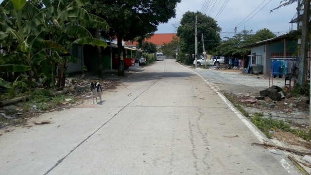 ขายด่วนมาก ที่ดินมีโฉนด 1 ไร่ 3 งาน 24.2 ตรว.   อ.ปลวกแดง จ.ระยอง