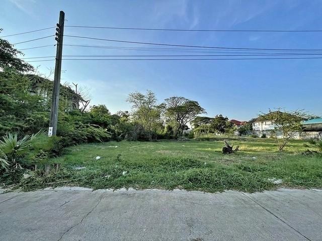 ขายที่ดิน เนื้อที่ 150 ตรว. ที่ดิน อยู่ในหมู่บ้านเมืองทอง 2 โครงการ 4 ซอยพัฒนาการ 69 พื้นที่สวยแปลงรูปสี่เหลี่ยมผืนผ้า