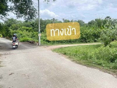 ขายที่ดินหนองตำลึง เนื้อที่  30  ตรว  