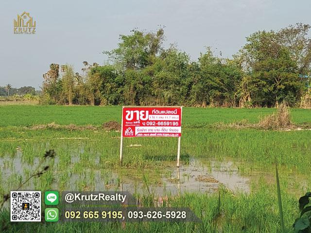 ขายด่วน ที่ดินแปลงสวย ติดถนน เนื้อที่ 1 ไร่ 1 งาน 11.7 ตร.ว. ต.ป่าลาน อ.ดอยสะเก็ด จ.เชียงใหม่