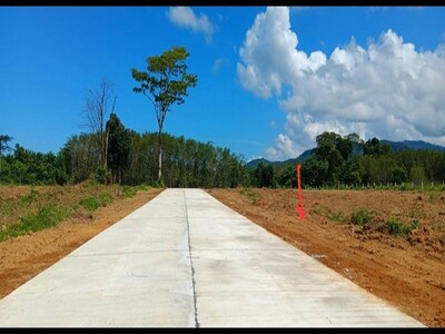 ขายที่ดินเปล่า ทำเลทอง ใกล้แหล่งชุมชน  อ.ตะกั่วป่า จ.พังงา