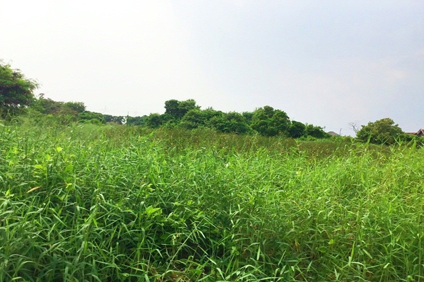 ขายที่ดิน 4 ไร่ ในโครงการสวนเก้าแสน บางปลา 28 บางพลี