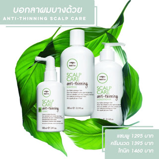 จำหน่าย Tea Tree Anti-thinning Scalp Care แชมพู ครีมนวด และ โทนิคใส่ผม ของ Paul Mitchell และ ออกแบบทรงผม โดยร้าน ร้านทำผม Hair & Beauty by ICT